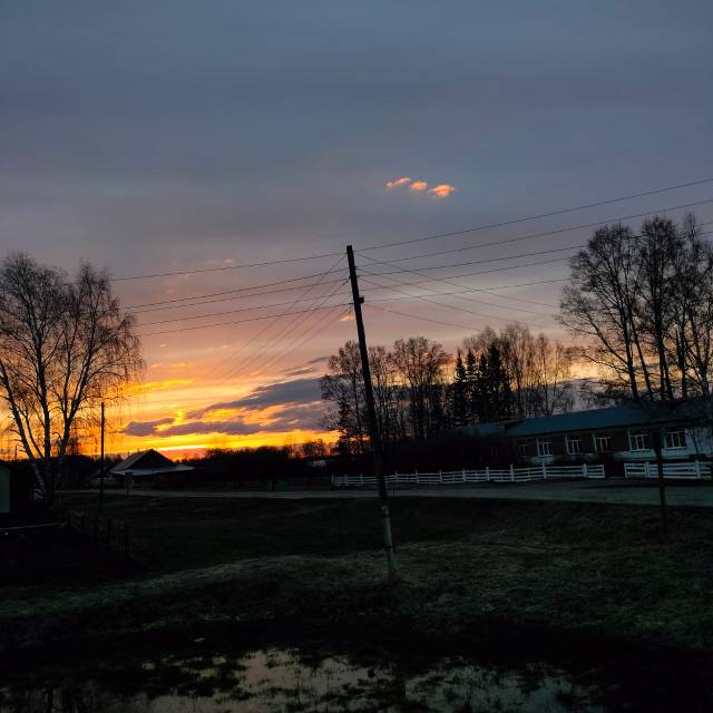 Фотографии.